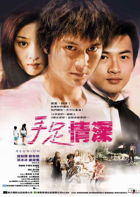 Film Review: Reunion 手足情深 (2002) - Hong Kong