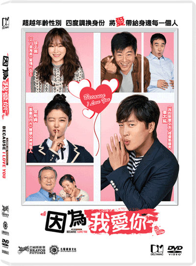 Love Korean Drama With English Subtitles DVD Korean Drama