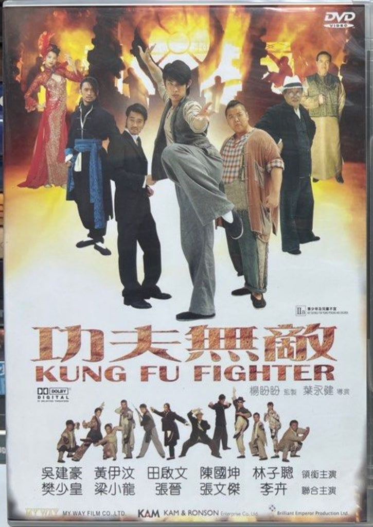 Kung Fu Fighter 功夫无敌 (2007) (DVD) (English Subtitles) (Hong Kong Version)