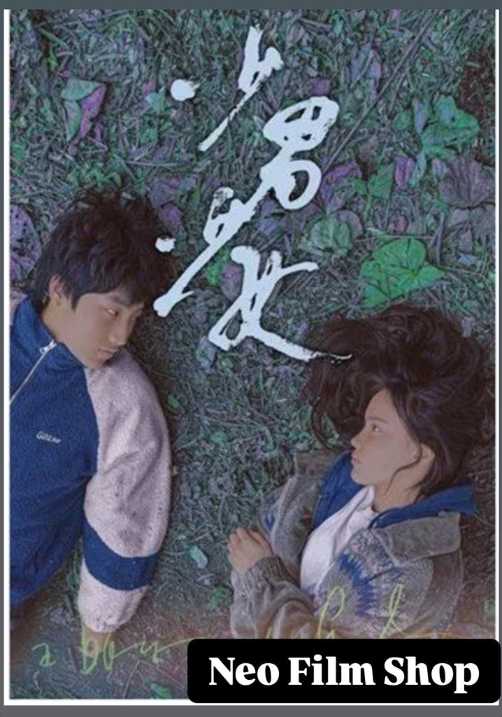 A Boy And A Girl 少男少女 (2023) (DVD) (English Subtitled) (Taiwan Version)