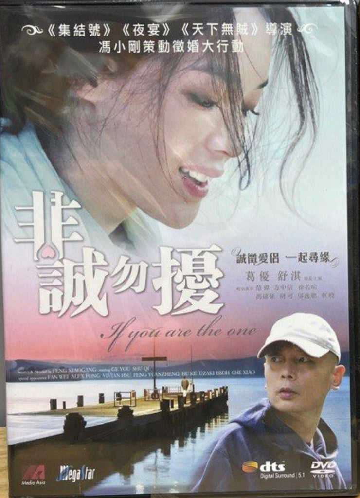 If You Are the One 非誠勿擾 (DVD) (English Subtitles) (Hong Kong Version)