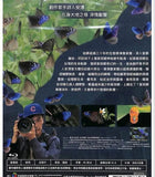 Lost Butterfly 消失的紫斑蝶 (2023) (Blu Ray) (English Subtitles) (Taiwan Version)