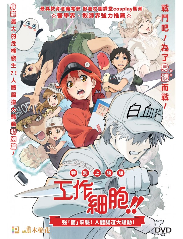 Cells At Work!! Special Screening Edition はたらく細胞!! 工作細胞!! (2020) (DVD) (Hong Kong Version)