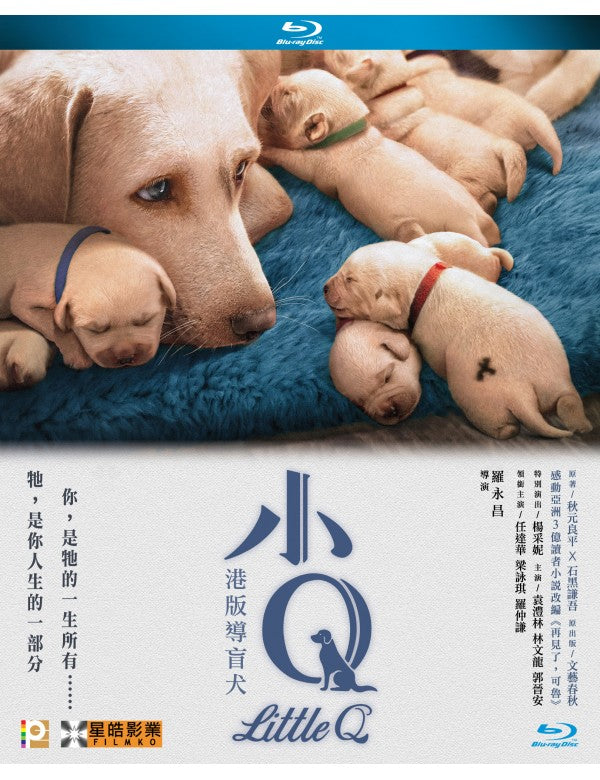 Little Q (2019) (Blu Ray) (English Subtitled) (Hong Kong Version) - Neo Film Shop