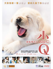 Little Q (2019) (DVD) (English Subtitled) (Hong Kong Version)