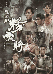 Saving General Yang 忠烈楊家將 (2013) (DVD) (English Subtitled) (Hong Kong Version)